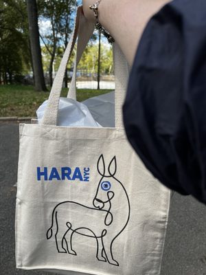 Can't wait to get my newly purchased purse  out of this lovely canvas Hará tote!