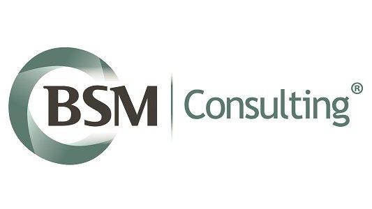 BSM Consulting