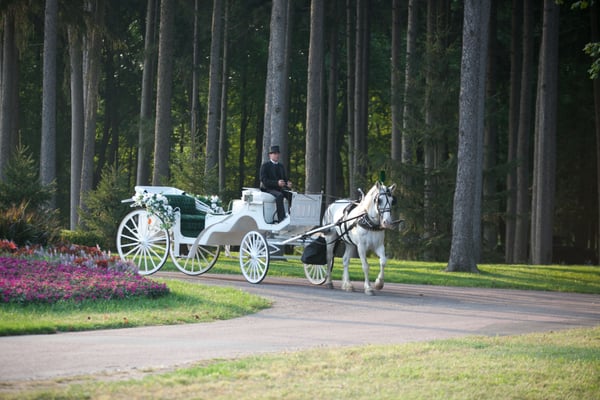 Jim & Becky's Horse and Carriage Service