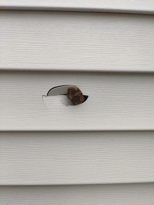 The object shot through our fence and travelled 8 feet to only be stopped by our house and damaged the siding.