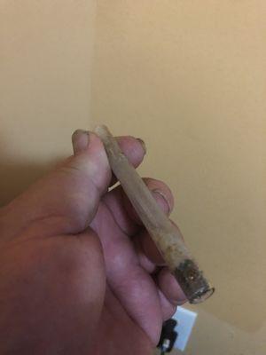 This is the crack pipe we found in one of the beds