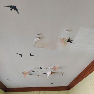 This is my ceiling 9 months later