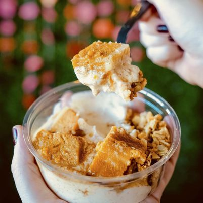 Seasonal Pumpkin Yogurt Bowl