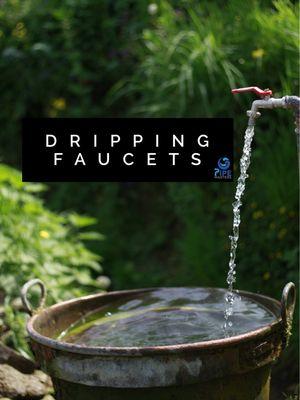 A faucet that drips once every second can waste up to 3,000 gallons a year. Don't let that annoying drip cause your bill to double.