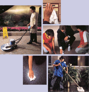 Master Care Commercial Janitorial