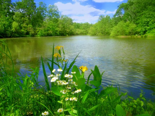 Treweryn Farms Trail