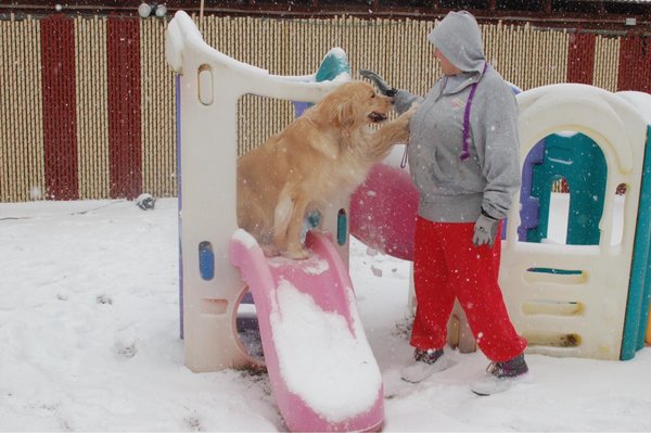 Molly & Kennel Supervisor Kathy, playing in the snow.