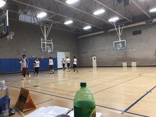 Random adult basketball league