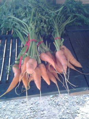 Carrots