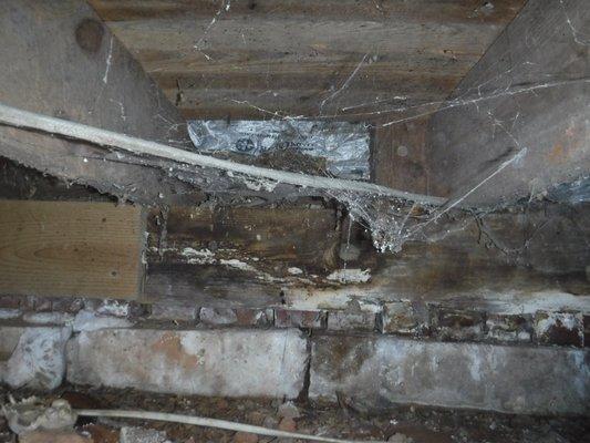 What does your crawl space foundation look like?