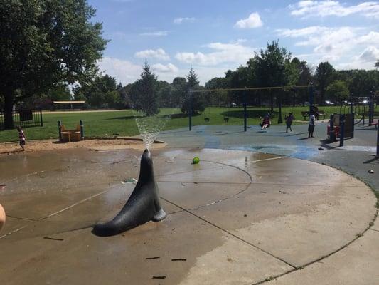 Water/ splash pad!