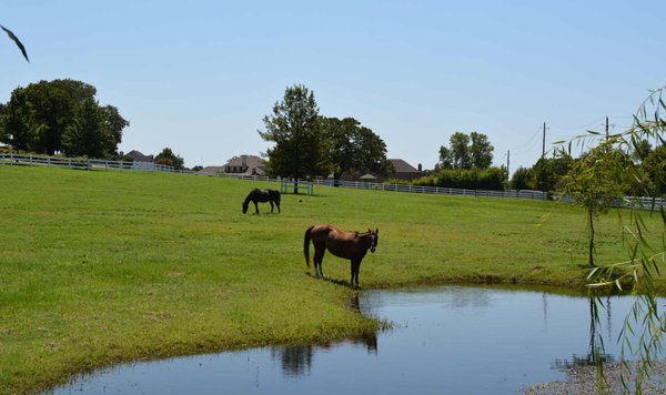 Homes and acreage in Denton TX