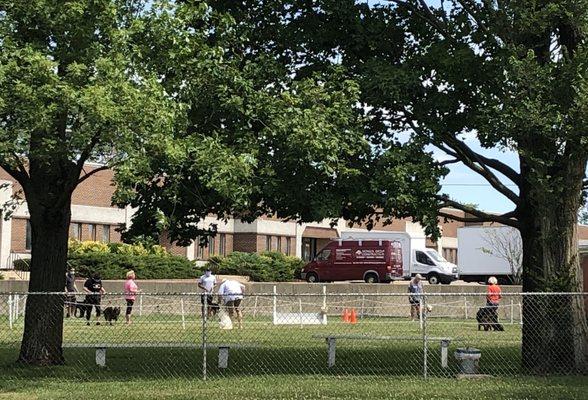 Lincolnwood Dog Training Club