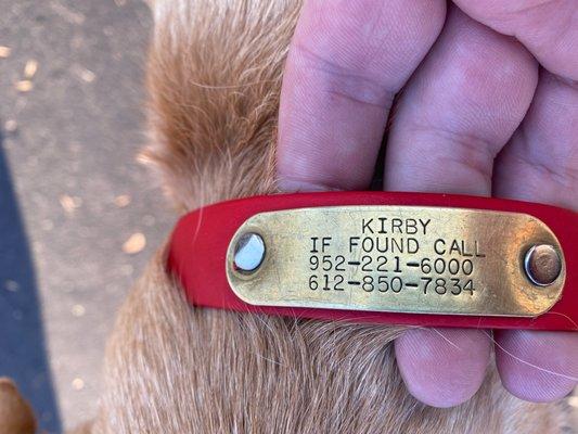 Dog collar I.D. plate