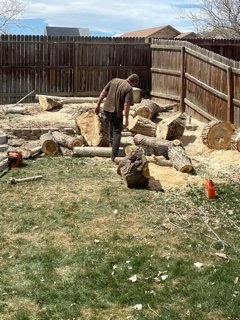 James hauling away the branches before grinding down the stump