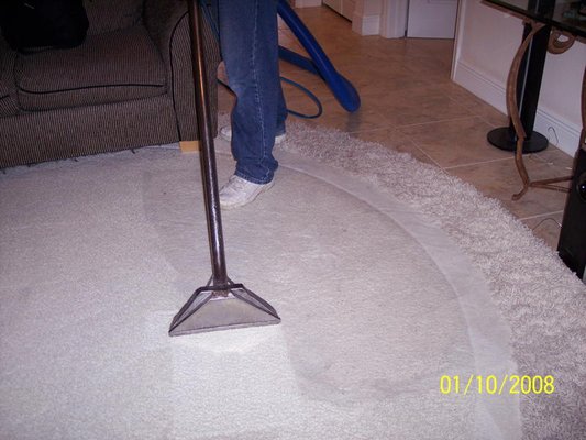 Area Rug cleaning