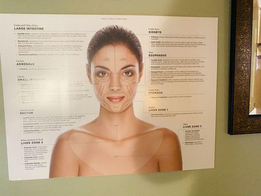 Skin Mapping is invaluable at reducing the guesswork for most skin conditions.