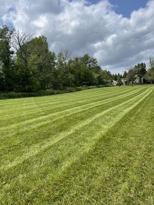 Hayfield mowed back into a lawn.