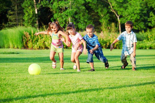 Solar Lawn Care And Tree Service