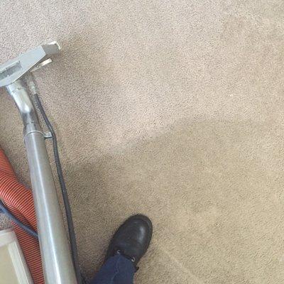 Before and After Photos of an actual client's carpet.