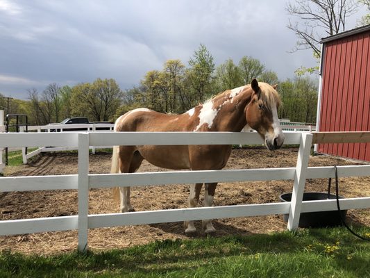 Saddle Ridge Riding Center