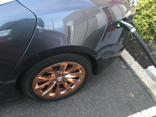 Transparent Copper powder coated wheels