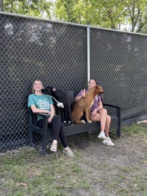 The Kennels at Gum Gully