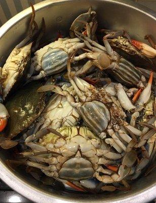 Visit JC's for Blue Crabs in season!