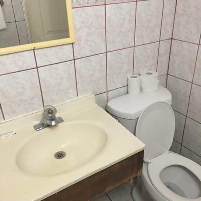 Toilet and sink.