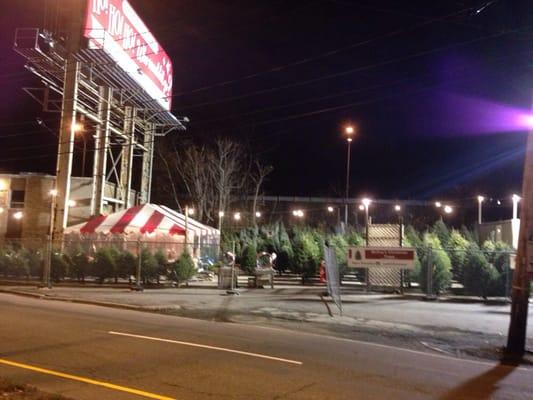 Great trees, and staff. One stop shopping for your tree.