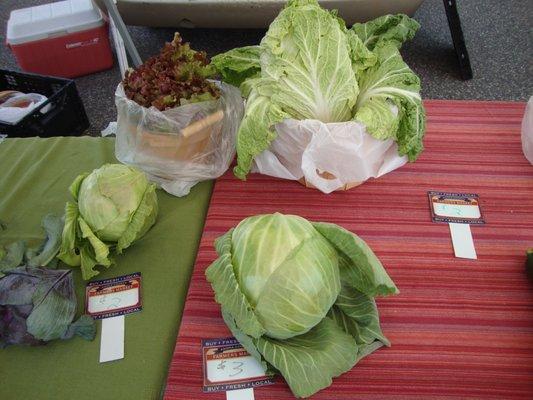 Various leafy greens.