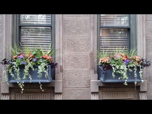 Window Boxes UES