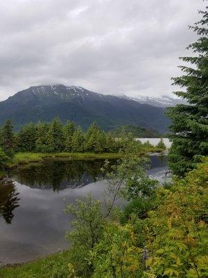 Beautiful area around Mendehall Glacier