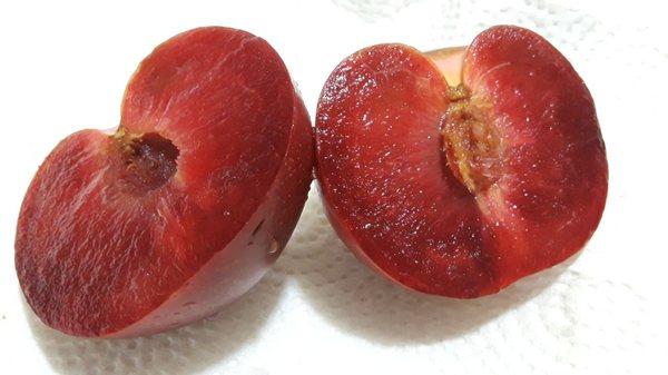 Plumcot: Hybrid fruit of plum and apricot