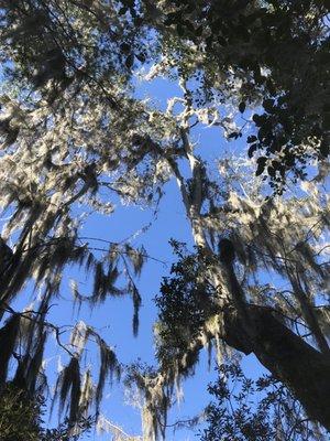 Cay Creek Wetlands Interpretive Center