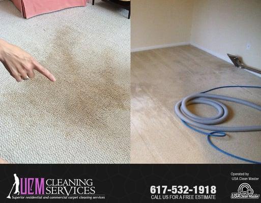 Carpet Cleaning