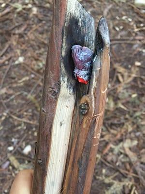 Coal burning the wood to make our spoon.