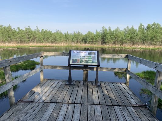 Volo Bog State Natural Area