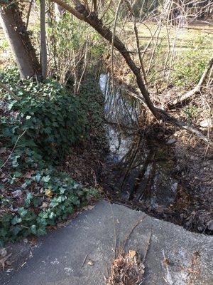 Drainage/overflow ditch