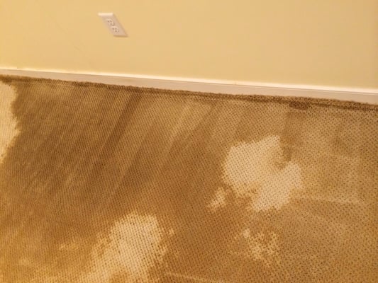 Water Damage Restoration, Takoma Park, MD. Caused by Ground Water. Water Extraction.