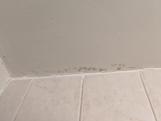 Mold growing on the other side