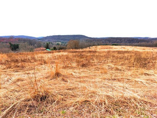 Binky Lee Preserve -- (ALL NATURAL LANDS PRESERVES OPEN during COVID-19 crisis, except Stoneleigh)