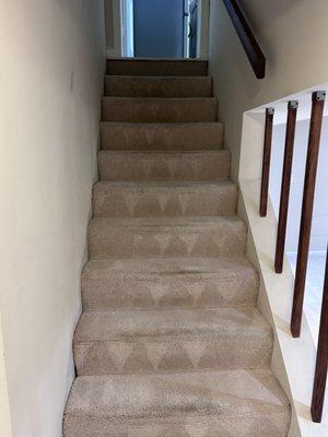 Olney Carpet Cleaning