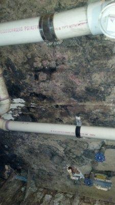 Mold Remediation In Yonkers, NY