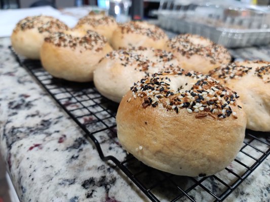 Everything Sourdough Bagels