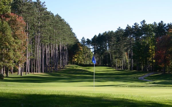 Signature 3rd hole par 3 with Red Pines