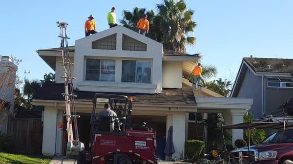 Great team work between South Coast Shingle and Hernandez Brothers Loaders.