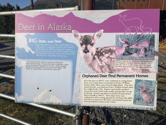 Alaska's wildlife preserve