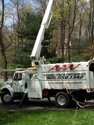 A& Landscape and tree Service