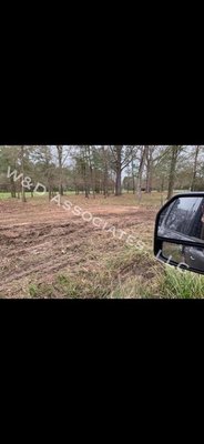 After photo of clearing land in Lake Livingston. (1)